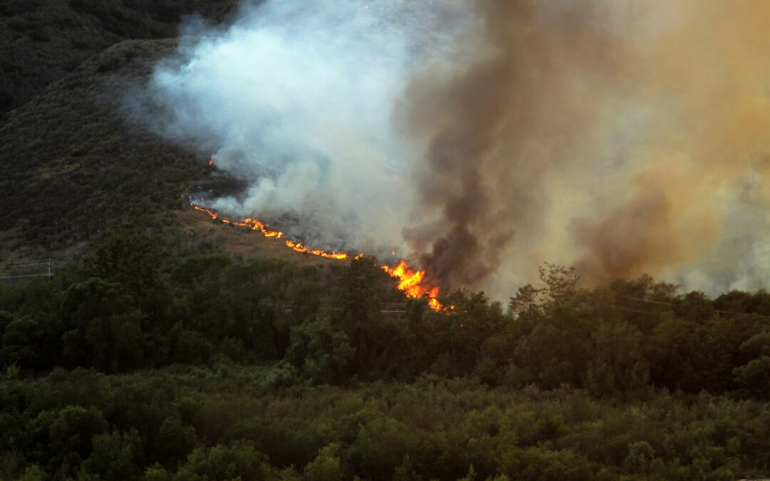 Fire-Resistant Building Materials Offer Hope Amid California and Oregon Wildfires